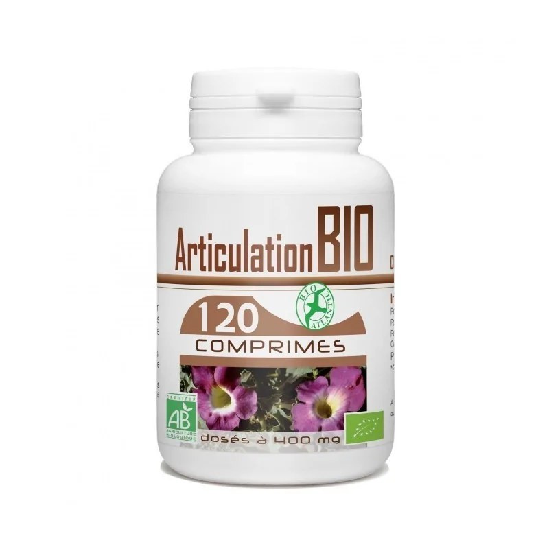 GPH DIFFUSION  Gph diffusion articulation bio ( harpagophytum, reine des prés, prêle ) 400 mg 120 comprimés