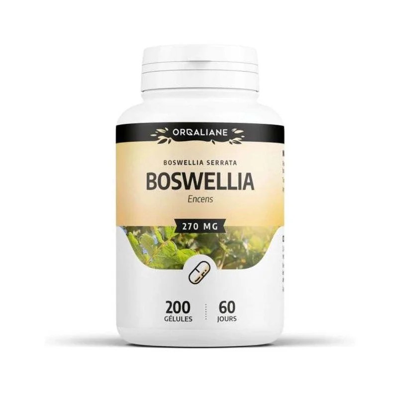 GPH DIFFUSION  GPH DIFFUSION Boswellia 270 mg | 200 gélules