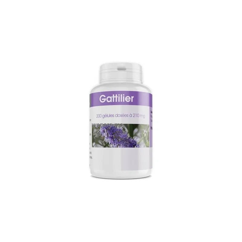 GPH DIFFUSION  Gph diffusion gattilier (vitex) 200 gélules dosées a 210 mg
