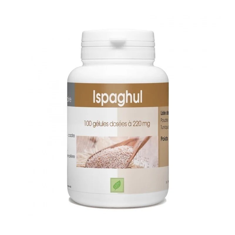 GPH DIFFUSION  GPH DIFFUSION ISPAGHUL - 220 MG - 100 GÉLULES