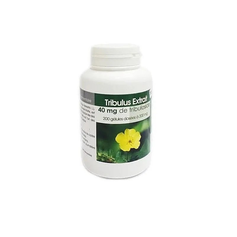 GPH DIFFUSION  Gph diffusion tribulus extrait 200 gelules